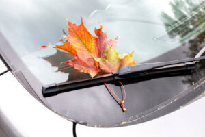 Colorful red autumn maple leaf on the windshield of the car close up